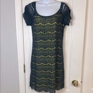 Elegant Lace Overlay Dress in Green and Blue